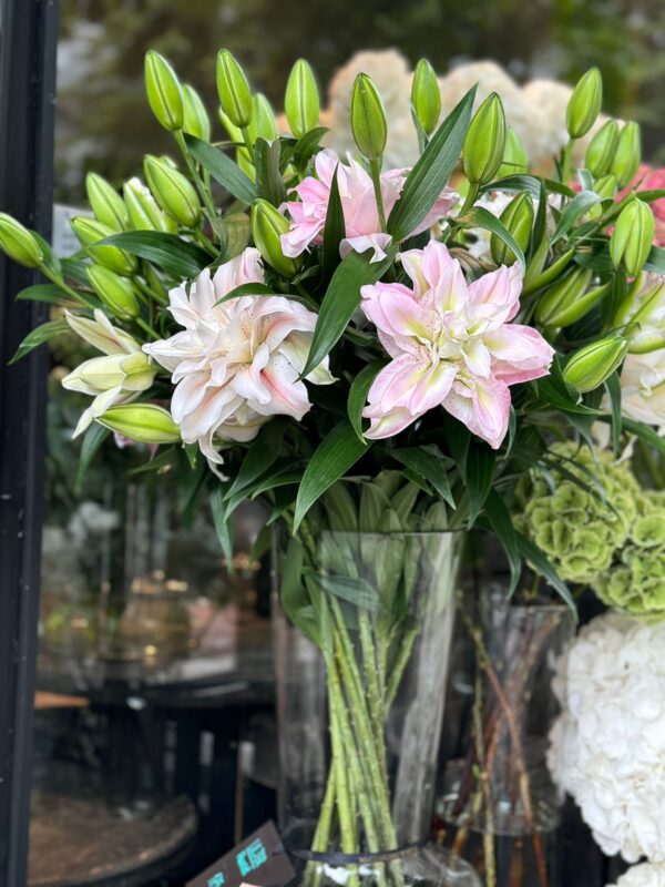 Flora